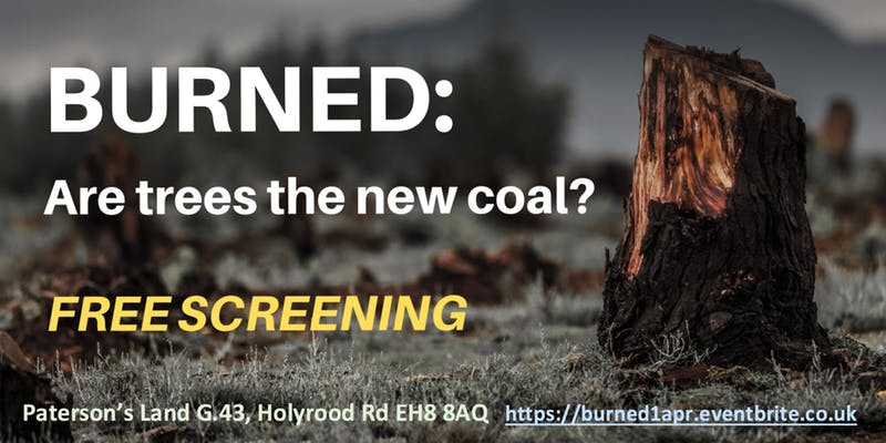 BURNED: Are trees the new coal?