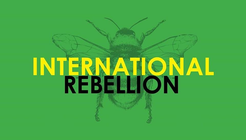 Scotland's International Rebellion